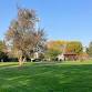 Nature At Noon: Dairy Creek Park