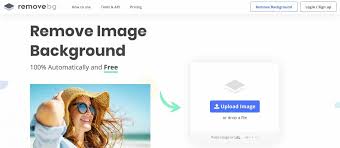 You can also choose to drop in several images at once to remove backgrounds on multiple pictures. 6 Cara Cepat Ganti Background Foto Secara Online Otomatis
