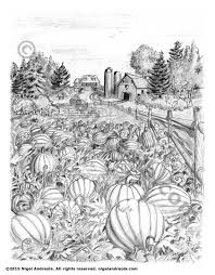 Begin by drawing your first pumpkin. Book Illustration