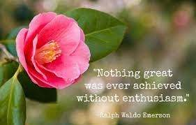 Nothing Great Was Ever Achieved Without Enthusiasm Ralph Waldo Emerson Brighten Your Day Picture Quotes Quotable Quotes