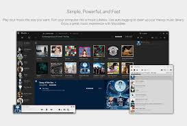 Musicbee Alternatives And Similar Software Progsoft Net Musicbee is a freeware media player for playback and organization of audio files on microsoft windows, built using the bass audio library. musicbee alternatives and similar