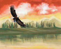 Download now jual lukisan burung elang jumbo ekslusif dan elegan b12lu883 kota tangerang selatan abimanyu11 tokopedia. Burung Elang Botak Karya Seni Burung Lanskap Lukisan Wallpaper Hd Wallpaperbetter