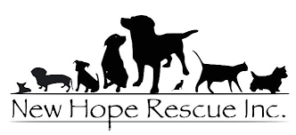 Take note of their arrival date. Pets For Adoption At New Hope Rescue Inc In Colorado Springs Co Petfinder