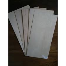 Hasil gambar untuk triplex 1