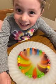 Lots of pictures! Mainly science labs with Mrs. Kearney and Mrs. Lionetti  but there are a few other random ones included!!