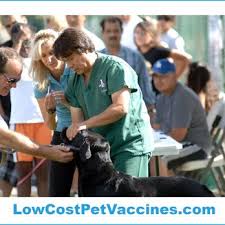 We did not find results for: Low Cost Pet Vaccines 22 Photos Pet Services 17400 Victory Blvd Los Angeles Ca Phone Number