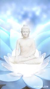 The great collection of buddha wallpapers for desktop, laptop and mobiles. Buddha Mobile Wallpaper Full Hd Resolution In 2021 Buddha Wallpaper Iphone Beautiful Nature Wallpaper Beautiful Wallpapers Backgrounds