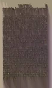 Image result for Buchnera longispicata