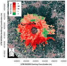 Midwestern provides pest control in st. Remote Sensing Free Full Text Detecting Burn Severity Across Mediterranean Forest Types By Coupling Medium Spatial Resolution Satellite Imagery And Field Data Html