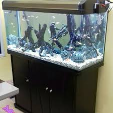 Adakalanya pecinta ikan hias menggunakan aquarium toples untuk menyimpan ikan hidup, yang akan di aquascape aquarium dirancang dengan sistim tertutup agar tanaman hias tumbuh dengan baik, banyak dd fish aquatic jual beli dan servis aquarium alamat: Sone Aquatic Aquarium Ikan Hias Aquascape Samarinda Facebook