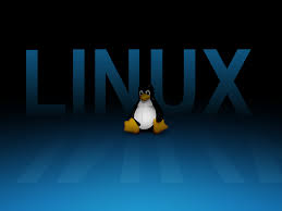 On this page will find the solution to operating system with a penguin mascot crossword clue. Linux Penguin Wallpapers Group 84