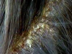 Black hair natural products mother nature knows best! Pin On Beauty Ideas