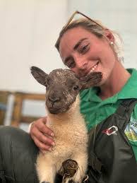 Pamela Mcfarlane's Instagram, Twitter & Facebook