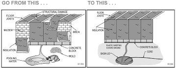 Maybe you would like to learn more about one of these? Zoeller Crawl Space Pumping Systems