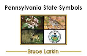 To make it fun to learn, kids can play games to learn that the mountain laurel is the state flower and the hemlock is the state tree. Pennsylvania State Symbols First Grade Book Wilbooks