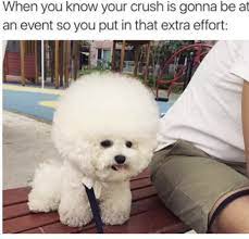 Dog boarding, dog walking, house sitting Companion Care Pet Hospital At Winter Park Thats The Only Way To Do It Pets Pethospital Style Facebook