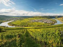 Es entstand 1946 durch die vereinigung des südlichen teils der preußischen rheinprovinz, des bayerischen regierungsbezirks pfalz sowie westlicher teile hessens (wie rheinhessen) Moselblick Bei Leiwen In Schleifen Fliesst Der Fluss Durch Rheinland Pfalz Deutsche Landschaft Pfalz Reisen