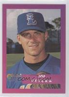 1995 Publix Super Market St. Lucie Mets