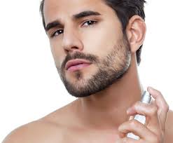 Lafayette creatore D'immagine