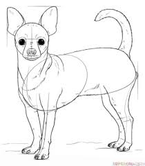 Shares Facebook Twitter Pinterest Stumbleupon Tumblrour Faithful Animal Friend The Dog Often Tends To Chihuahua Drawing Dog Drawing Tutorial Dog Drawing Simple