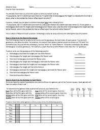 Genetics worksheet answers biology 171 with cadigan at pre from chapter 10. Dihybrid Cross Worksheet Teachers Pay Teachers