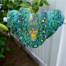 Image result for Hermannia guerkeana