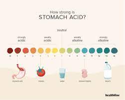 How Strong Is Stomach Acid? Plus What To Do When Acid Levels Fluctuate
