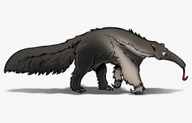 Free Anteater Clip Art with No Background - ClipartKey