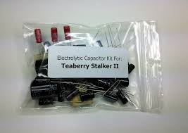 Image result for Teaberry Stalker Two