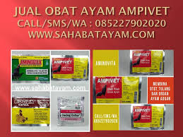 Pin Di Wa O85 227 9o2o2o Promo Kulakan Obat Alami Ayam Bangkok Yang Ngorok Jatinegara