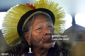 1,957 Joel Jacques Stock Photos, High-Res Pictures, and Images