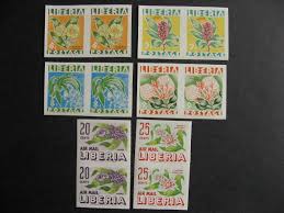 Image result for Callichilia