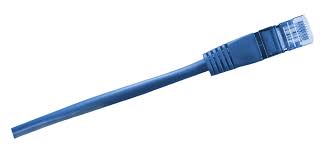 Like digital subscriber line and fiber to the premises services, cable internet access provides network edge connectivity. Internet Kabel Cat Kabel Kostenloses Foto Auf Pixabay
