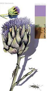 Pin By Greta Frost On Design Color Palettes Thistles Art Botanical Art Watercolour Inspiration