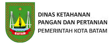Kepala dinas ketahanan pangan berkunjung ke pembibitan kakao pt. Dinas Ketahanan Pangan Dan Pertanian