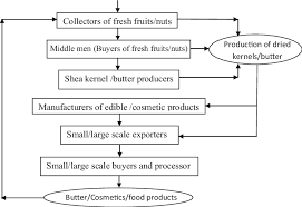 a generalized flow chart of the shea butter production