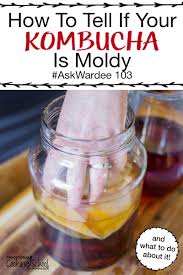 If there is lots of sugar and little water (like jam or honey) mold does not grow easily. How To Tell If Your Kombucha Is Moldy And What To Do About It