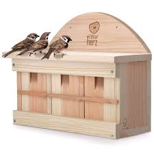 Image result for Flyte Blackbird Nest Box