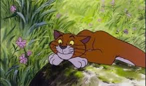 Best cat names from t.v. Disney Cat Names 29 Unforgettable Characters 165 Name Ideas