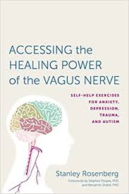 Con pulso de videoclip el filme nerve: Amazon Com Accessing The Healing Power Of The Vagus Nerve Self Help Exercises For Anxiety Depression Trauma And Autism 9781623170240 Rosenberg Stanley Shield Benjamin Porges Stephen W Books