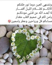 مساءكم فل ورياحين وعطر ياسمين شوق شعر خواطر رااااااقت ل ي good evening gifts arabic calligraphy