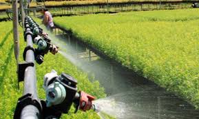 Arabella Wilcock shows off her outfit