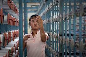 Learn more about north korea and waterfowl in this howstuffworks now article. Photos Show The The Daily Life Of Workers In North Korea