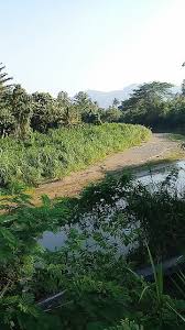 Gambar pemandangan alam ini menjadi bukti akan keindahan alam yang terdapat di beberapa penjuru dunia. Pemandangan Alam Sekitar Pemandangan Alam Sekitar