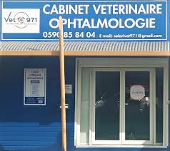 CABINET VETERINAIRE OPHTALMOLOGIE VET971