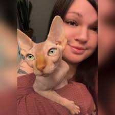 Cat nail trimming service in St. John's east end?