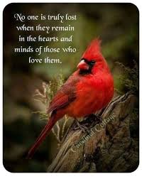 It Is Funny The Things You Miss I Absolutely Loved Seeing The Cardinals In My Backyard While I Was Home This Past Summer No Grief Quotes Bird Quotes Quotes