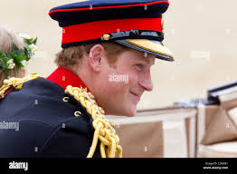 Parade horse carriage hi-res stock photography and images