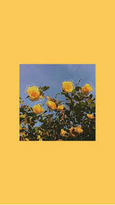 Aesthetic Wallpapers In 2020 Iphone Wallpaper Yellow Aesthetic Iphone Wallpaper Yellow Aesthetic Pastel