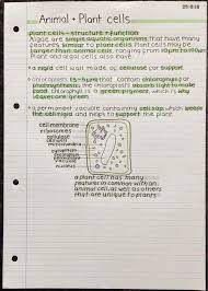 We did not find results for: Cell Notes Studying Amino Amino